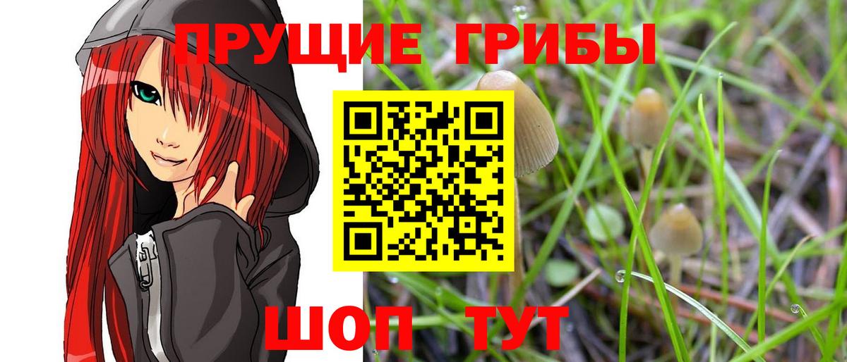 цены   Вход с VPN  Сочи  Псилоцибиновые грибы ЛСД 